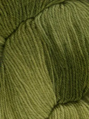 Araucania Huasco Sock Kettle Dyes