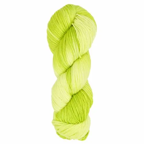 Araucania Huasco Sock Kettle Dyes