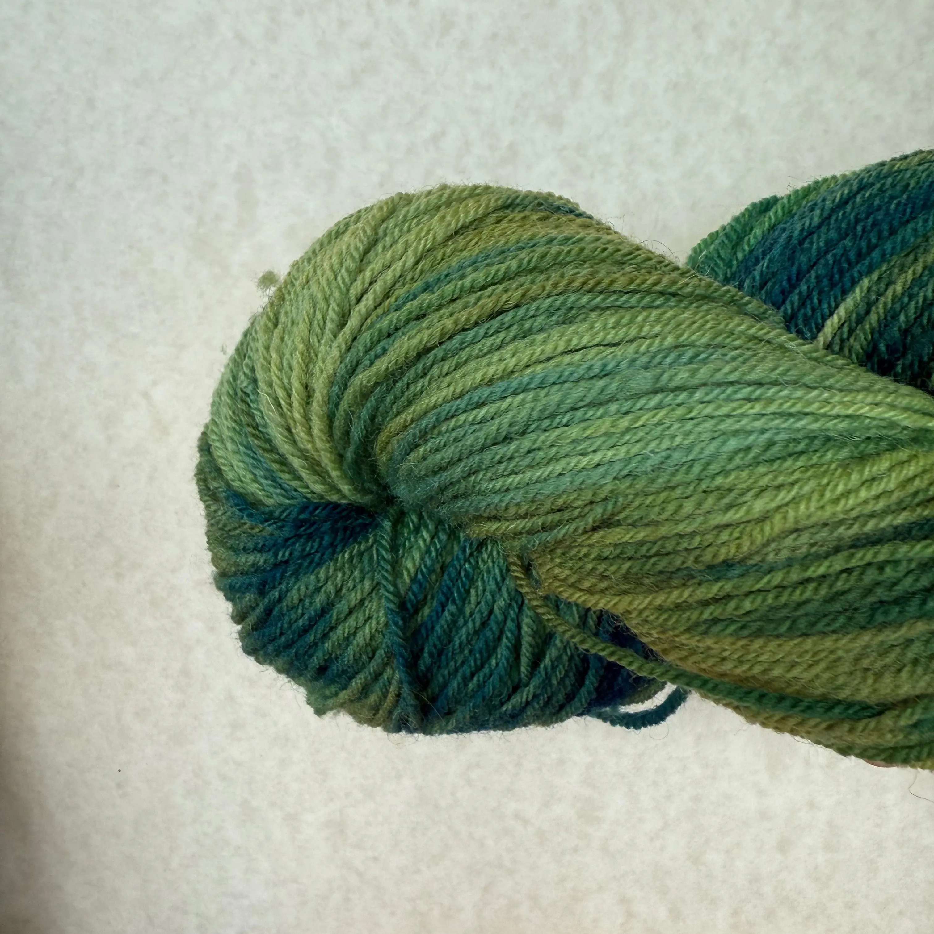 Bobolink Yarns Settlement Sock