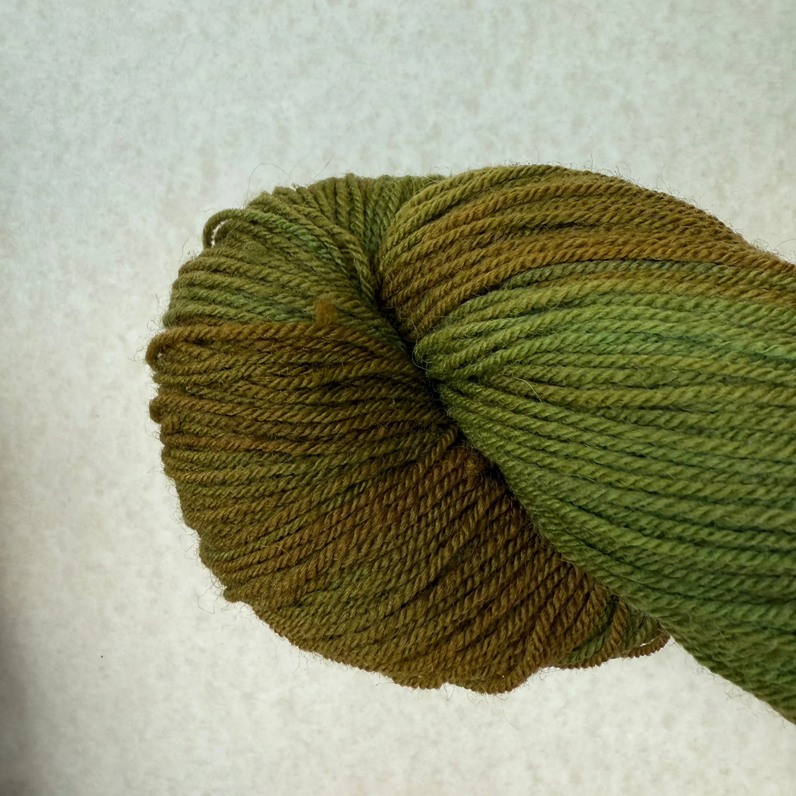 Bobolink Yarns Settlement Sock