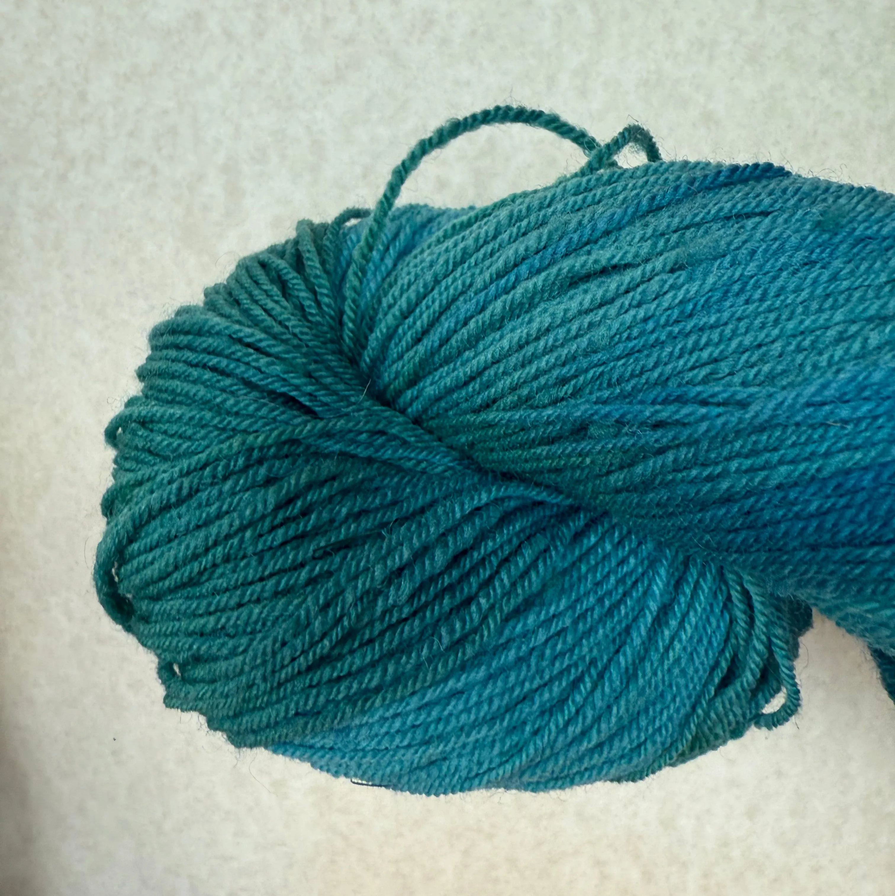 Bobolink Yarns Settlement Sock