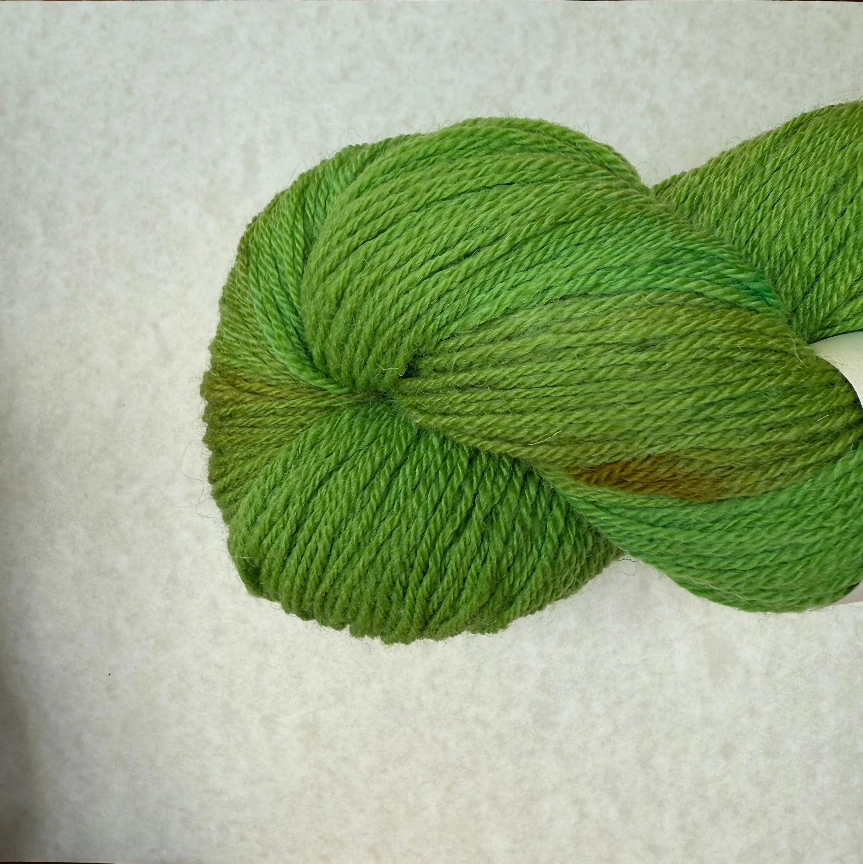 Bobolink Yarns Settlement Sock