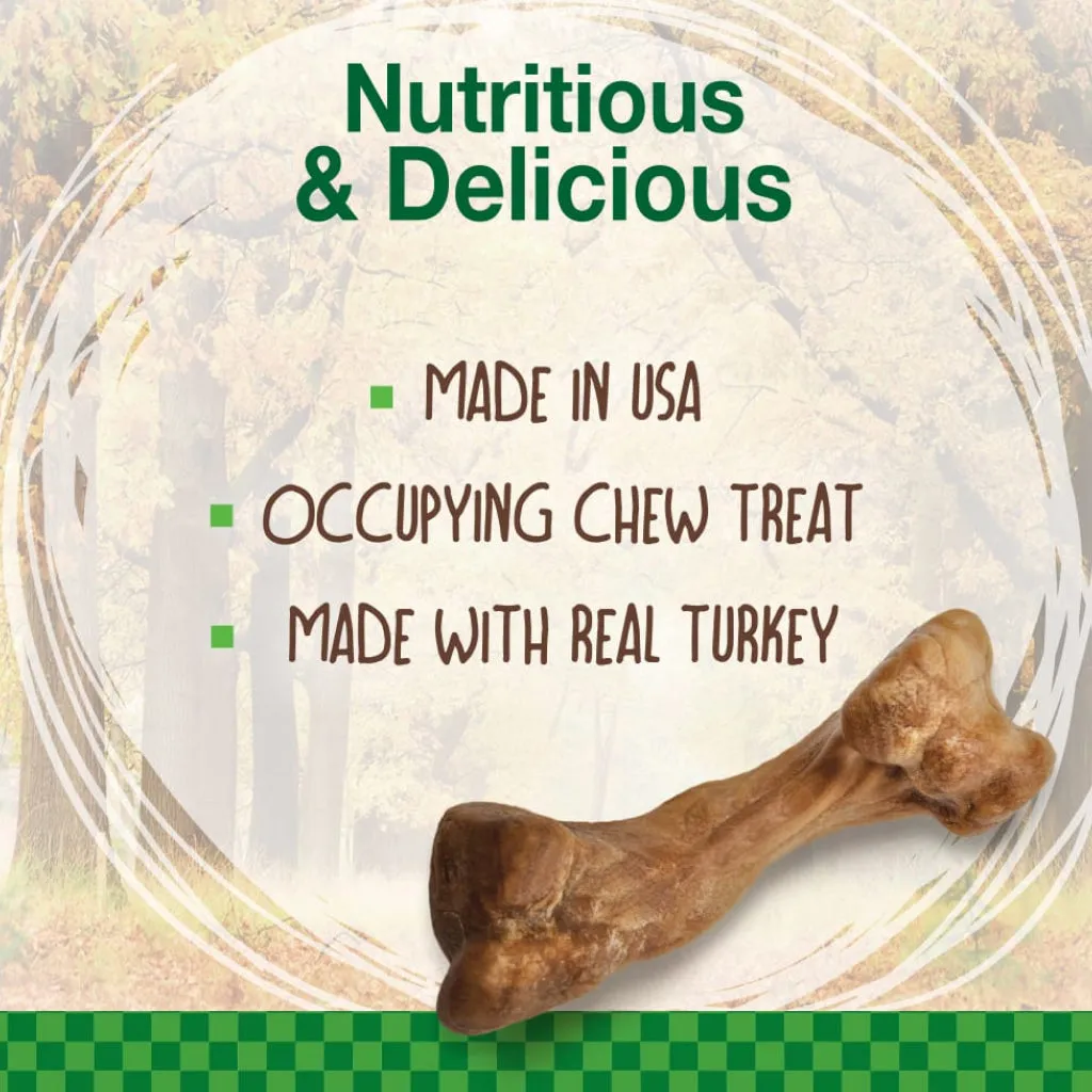 Nylabone Healthy Edibles Puppy WILD Natural Long-Lasting Turkey Flavor Bone Chew Treats for Puppies - Small/Regular , 4-count