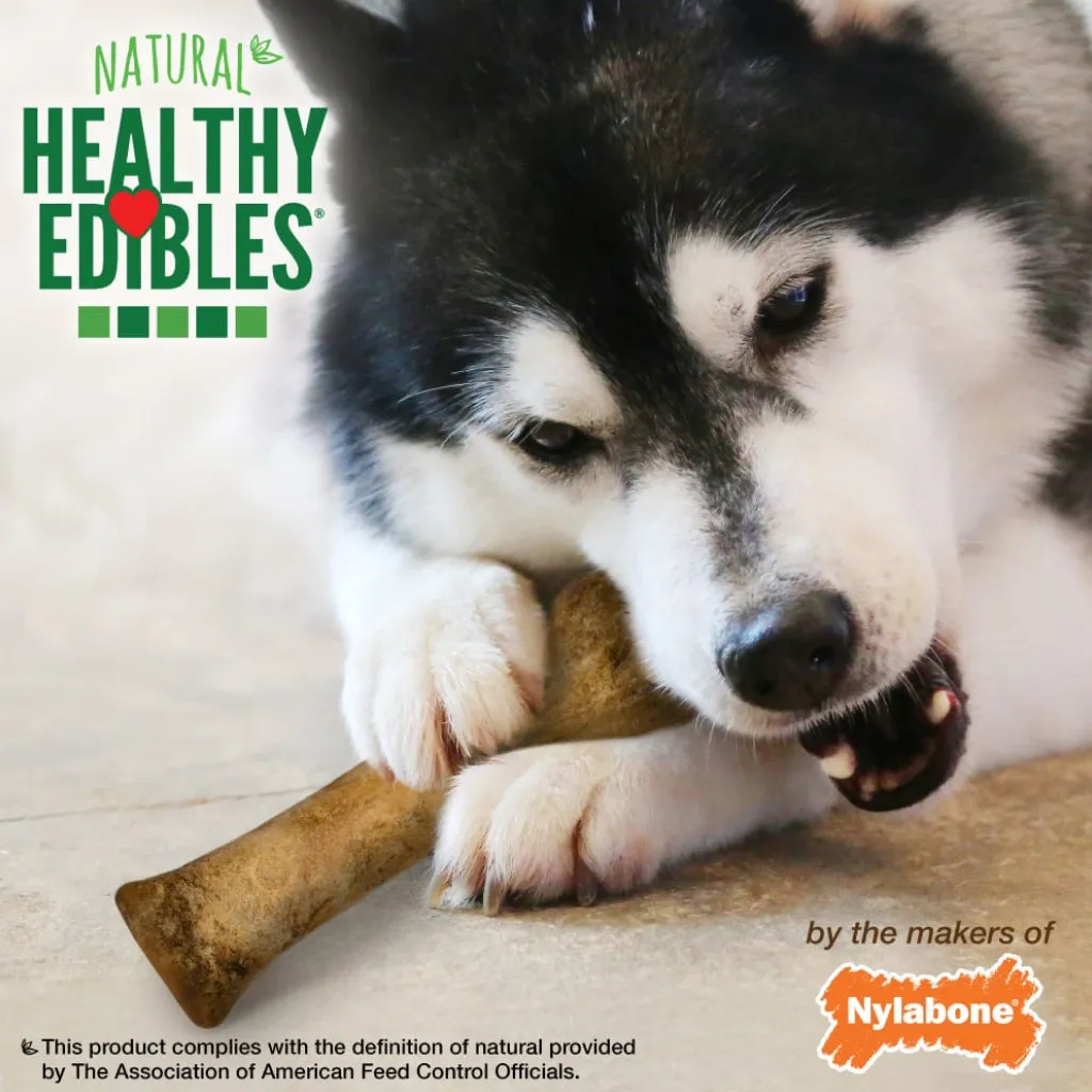 Nylabone Healthy Edibles Puppy WILD Natural Long-Lasting Turkey Flavor Bone Chew Treats for Puppies - Small/Regular , 4-count