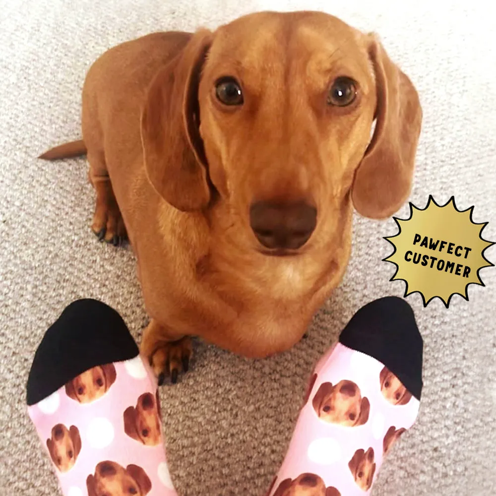 Polka Dog Socks