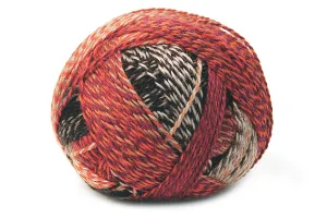 Schoppel Wool Zauberball Starke 6